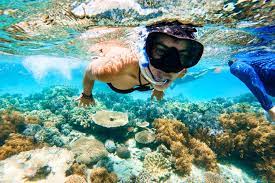 Cairns Shore Excursions