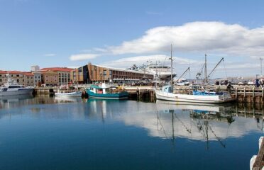 Hobart Shore Excursion: Hobart Attractions Bus