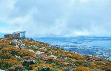 Shore Excursion-Hobart Wanderer