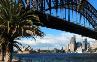 Sydney City and Surrounds and Harbour Lunch Cruise