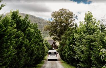 Barefoot Luxury Mount Tamborine Winery Tour from Brisbane