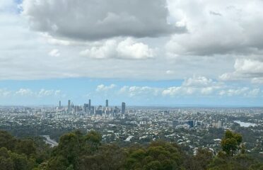 Cruise Lines Shore Tour Brisbane Highlights and Lone Pine