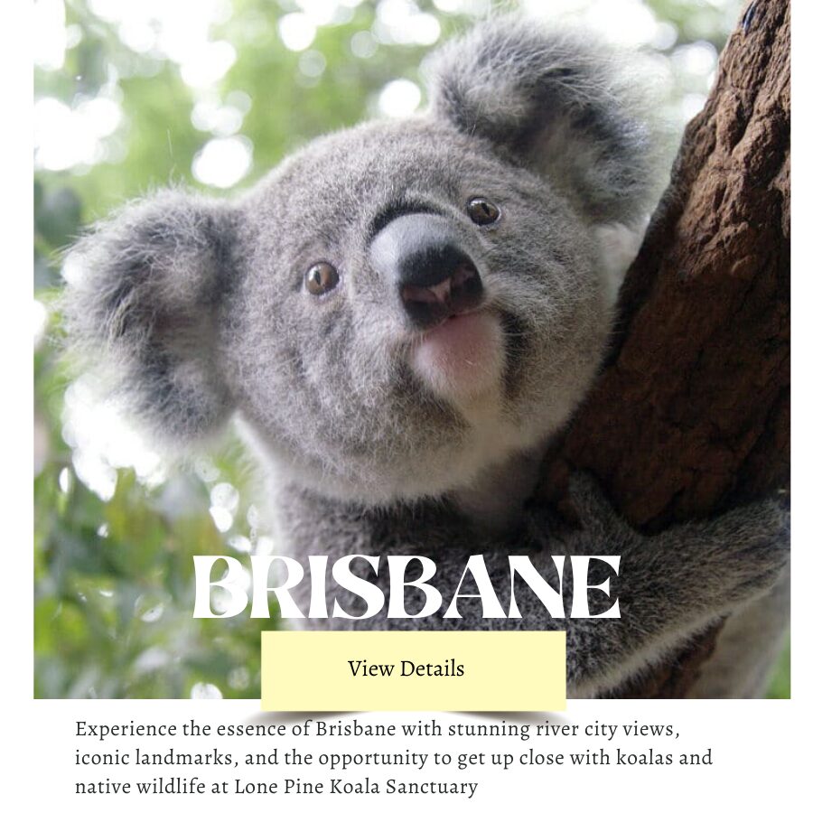 Brisbane Shore Excursions